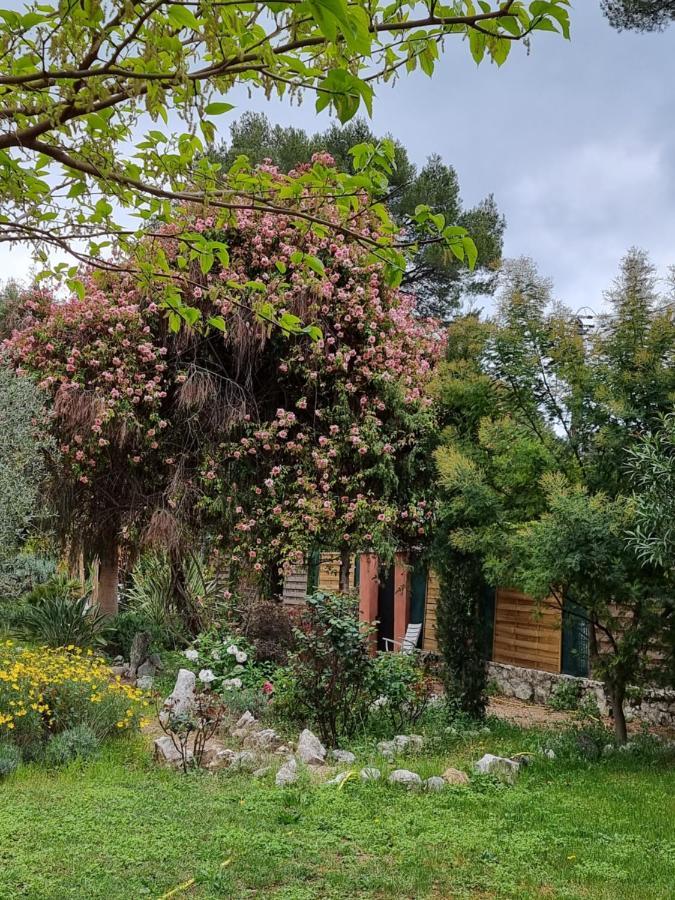 Bed and Breakfast Mas D'Azur Рокфор-ле-Пен Экстерьер фото