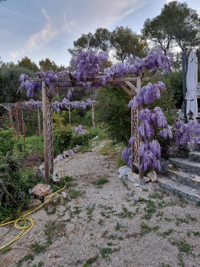 Bed and Breakfast Mas D'Azur Рокфор-ле-Пен Экстерьер фото